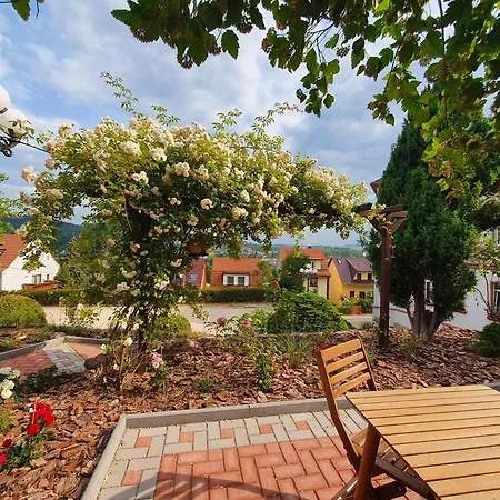 Hotel Klostergarten 3*