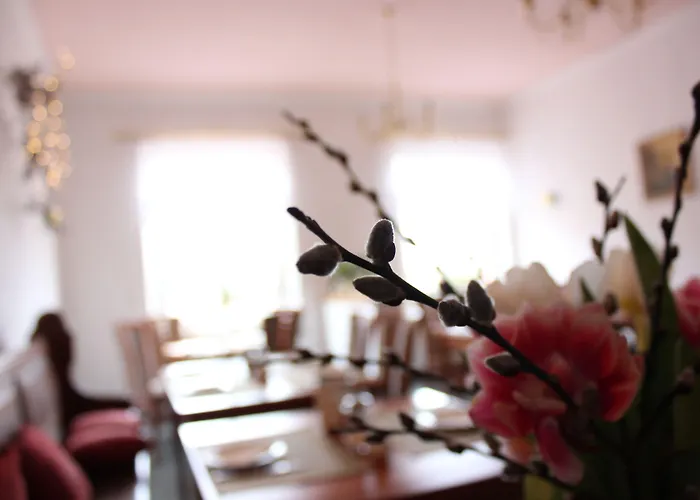 Hotel Klostergarten 3*